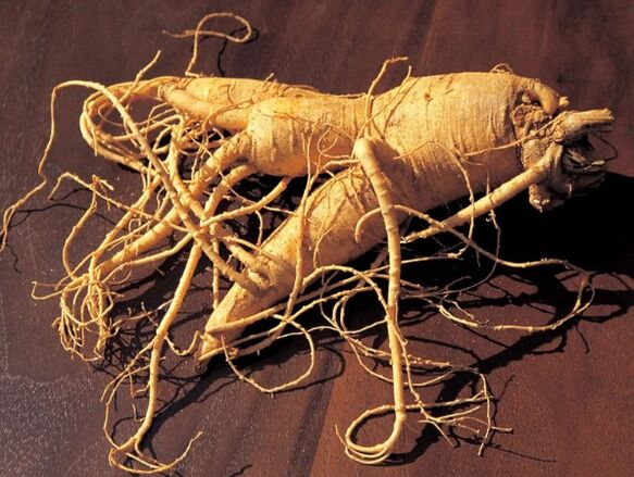 The root of ginseng