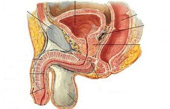 The location of the JI point on the man